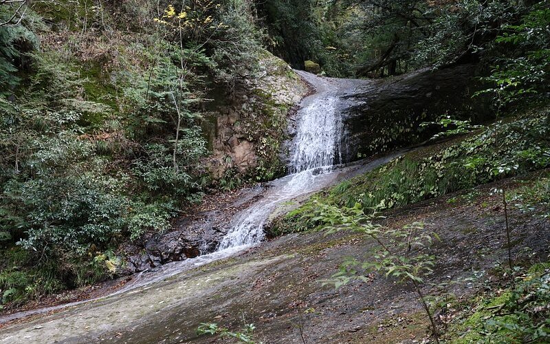 ⛩️ 무로 용혈 신사(무로 류케츠 진자) 이미지 17